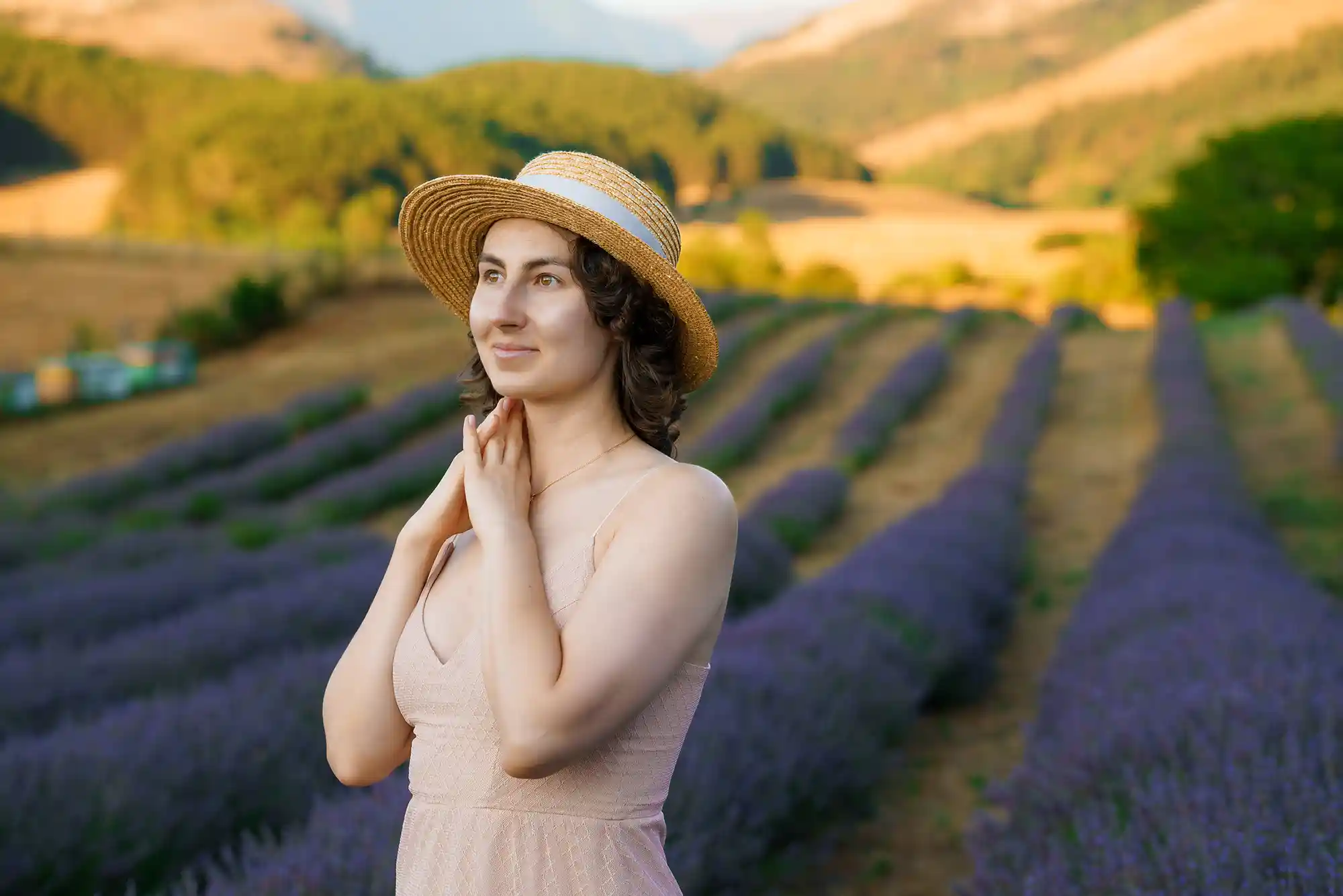 Sunset Photography in Blooming Lavender Fields